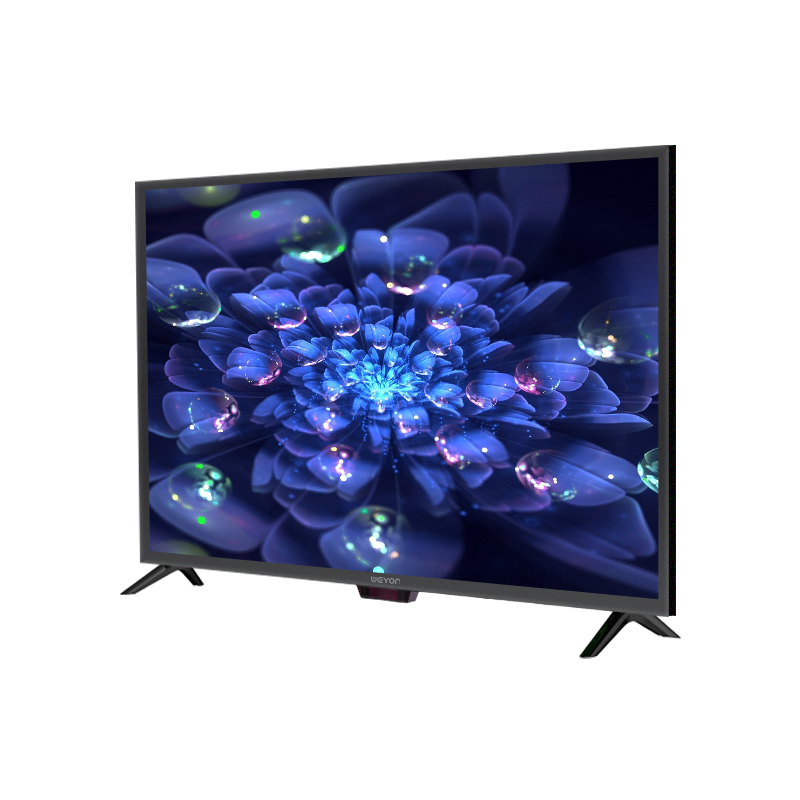 WEYON 19-27 inch Standard TVs